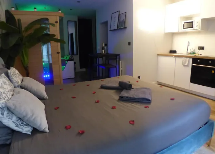Appartement Balneotherapie Et Sauna Hyper Centre