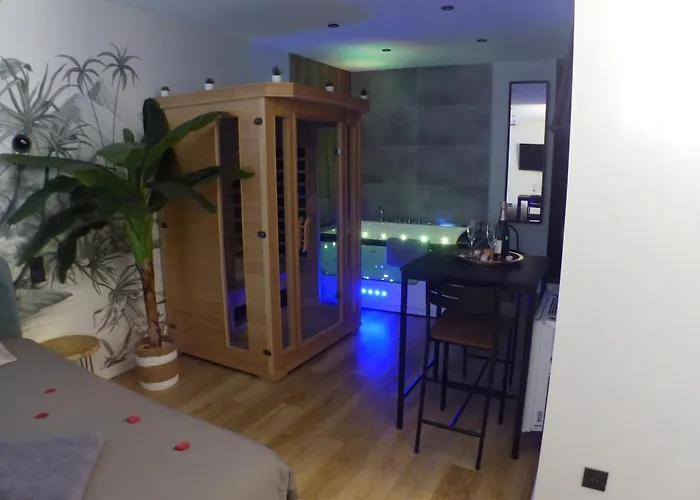 Appartement Balneotherapie Et Sauna Hyper Centre