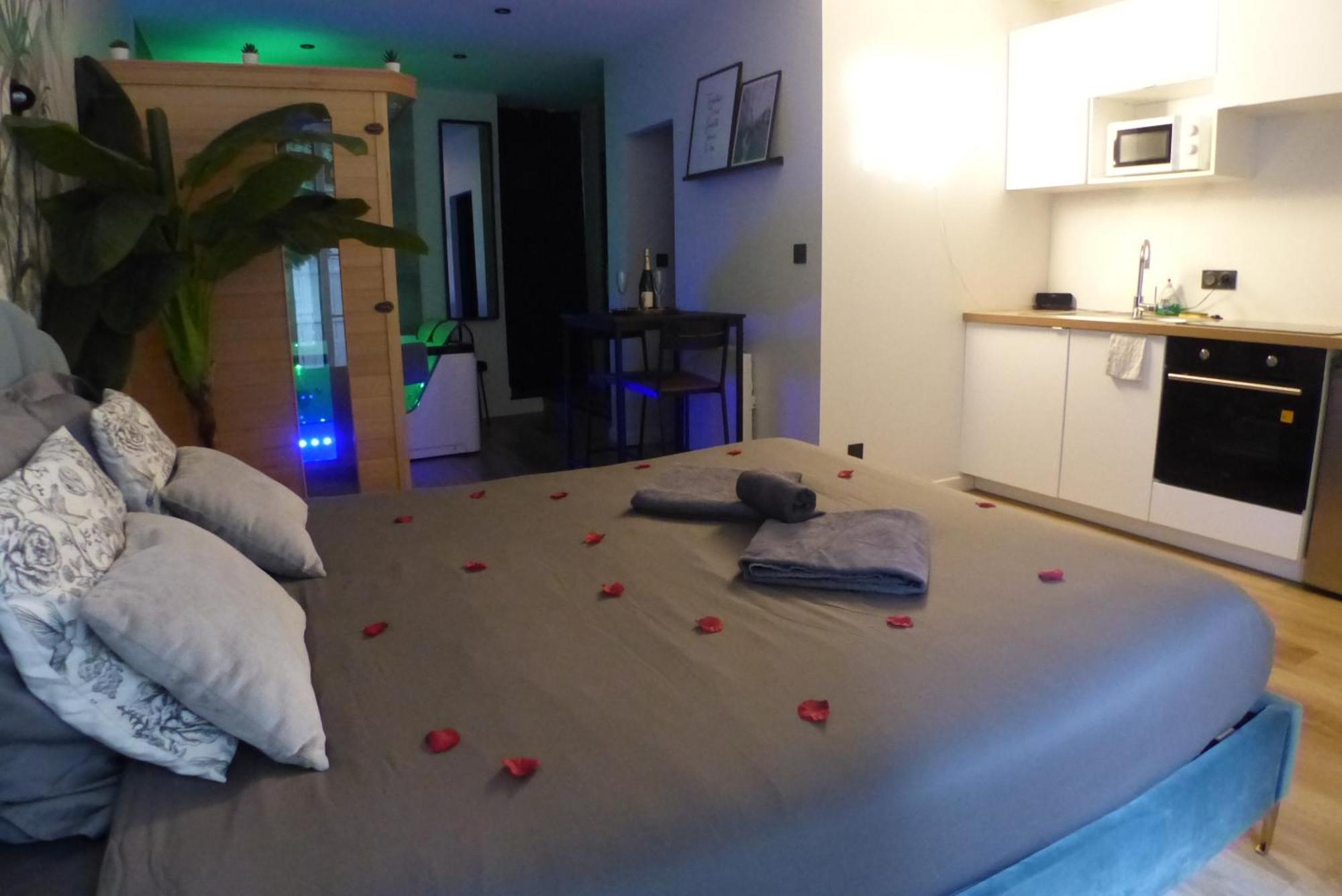 Balneotherapie Et Sauna Hyper Centre Apartment Nantes